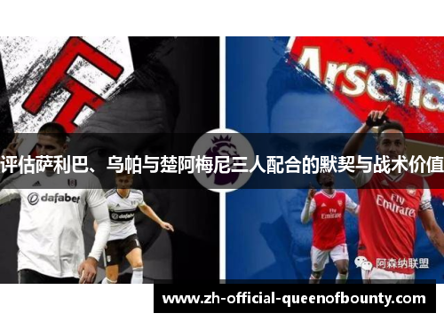 评估萨利巴、乌帕与楚阿梅尼三人配合的默契与战术价值