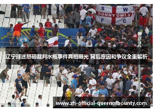 辽宁球迷怒砸裁判水瓶事件真相曝光 背后原因和争议全面解析