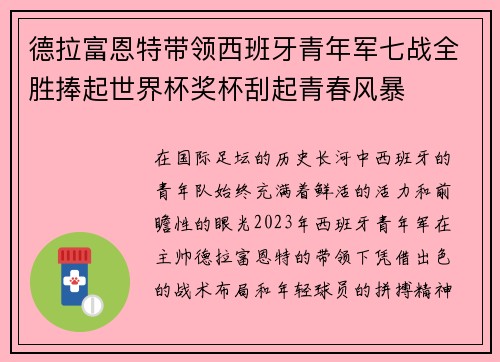 德拉富恩特带领西班牙青年军七战全胜捧起世界杯奖杯刮起青春风暴